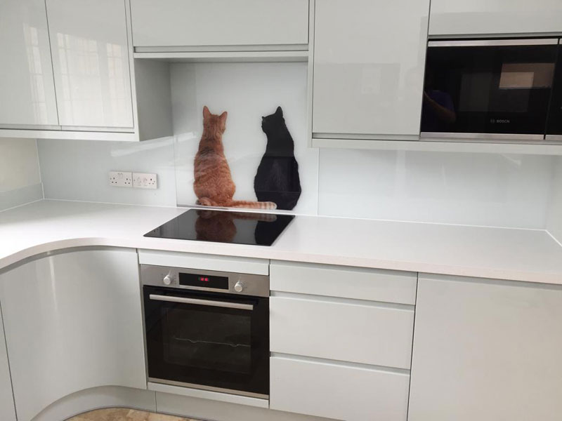 London glass kitchen splashbacks with photos