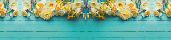 Turquoise wood with spring flowers in this wonderfully bright printed glass kitchen splashback. With the flowers and wood, this printed glass kitchen splashback will look equally at home in a traditional or contemporary kitchen.