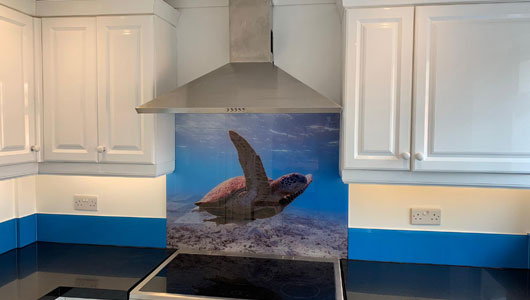Kitchen splashback with turtle and ral 5012