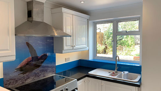 Kitchen splashback with turtle and ral 5012